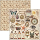 Sada papírů 20x20 Cabinet of Curiositi (Ciao Bella)