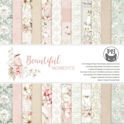 Sada papírů 15x15 240g Beautiful Moments (P13)