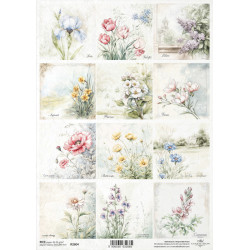 Papír rýžový A4 Květiny ve stylu shabby chic, kosatec, tulipán