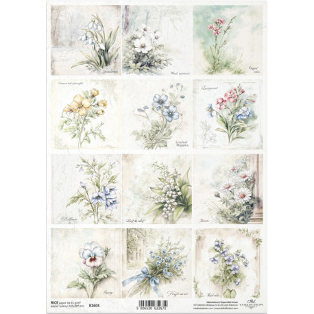 Papír rýžový A4 Květiny ve stylu shabby chic, sněženky, anemonky