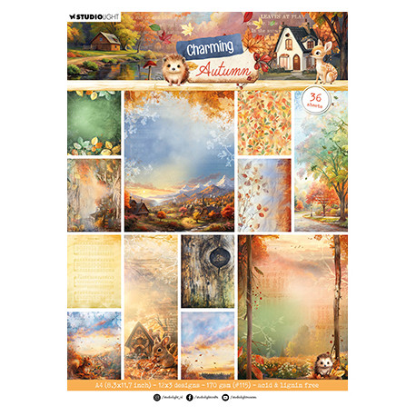 Sada papírů na pozadí A4 Charming Autumn nr.362 (SL)