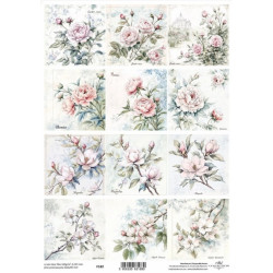 Průhledná fólie A4, Květiny ve stylu shabby chic, růže, pivoňky (ITD)