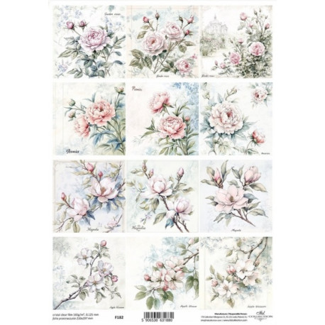 Průhledná fólie A4, Květiny ve stylu shabby chic, růže, pivoňky (ITD)