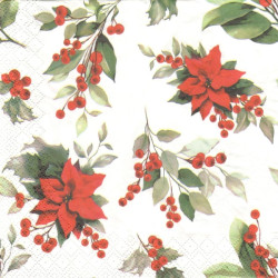 Vánoční rostliny 33x33