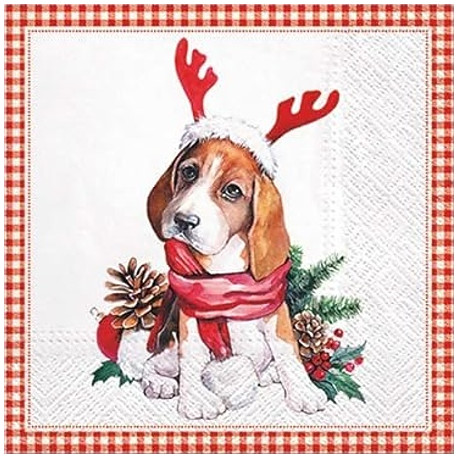 Vánoční bígl 33x33