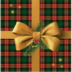 Vánoční balíček 33x33