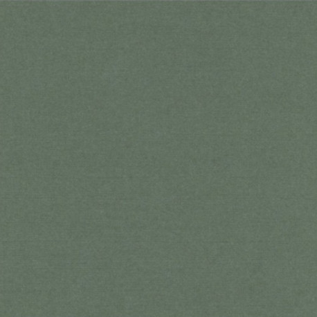 Strukturovaný papír 240g, 30,5x30,5cm - bazalka