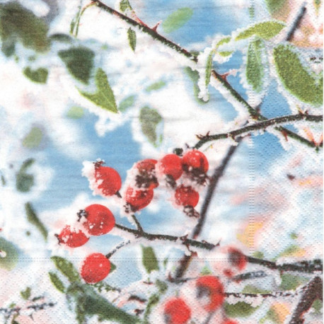 Ojíněné šípky 33x33