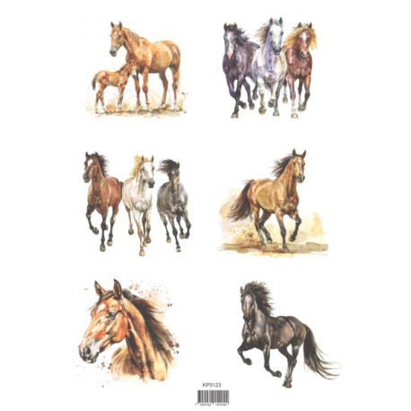 Papír A4 Koně (Reprint)