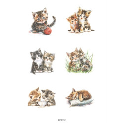 Papír A4 Koťata (Reprint)