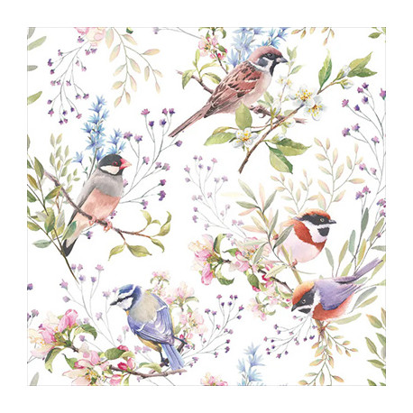 Zaneprázdnění ptáci 33x33