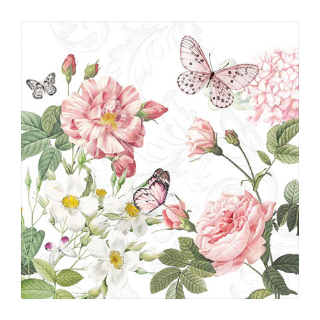 Amelia v bílé 33x33