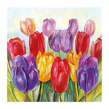 Barevné tulipány 33x33
