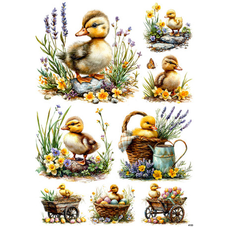 Papír rýžový A4 Velikonoční s kačenkami