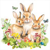 Králičí rodina 33x33