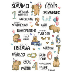 Samolepky Barevné, Oslava narozenin A5