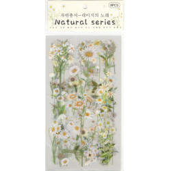 Průhledné samolepky Bílé květy 10x18cm, 6ks