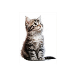 Papír rýžový A6 Koťátko II