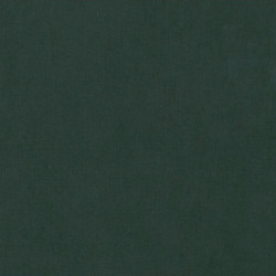 Strukturovaný papír 240g, 30,5x30,5cm - lesní zelená