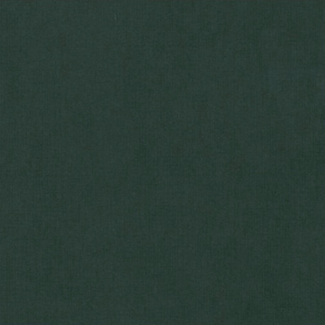 Strukturovaný papír 240g, 30,5x30,5cm - lesní zelená