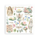 Transfer Stamperia 15,5x15,5cm - Wonderland (DFLRBX15)