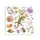 Transfer Stamperia 15,5x15,5cm - All Around (DFLRBX14)