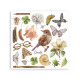 Transfer Stamperia 15,5x15,5cm - All Around (DFLRBX14)