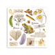 Transfer Stamperia 15,5x15,5cm - All Around (DFLRBX14)