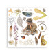 Transfer Stamperia 15,5x15,5cm - All Around (DFLRBX14)