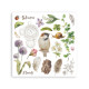 Transfer Stamperia 15,5x15,5cm - All Around (DFLRBX14)