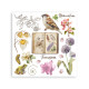 Transfer Stamperia 15,5x15,5cm - All Around (DFLRBX14)