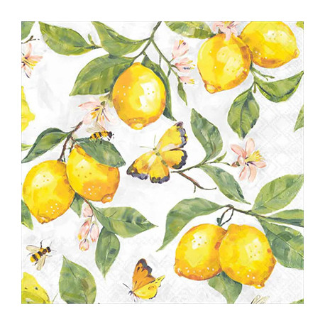 Čerstvé citrony 33x33