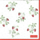 Berry White 33x33