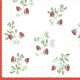 Berry White 33x33