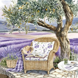 Léto v Provence 33x33