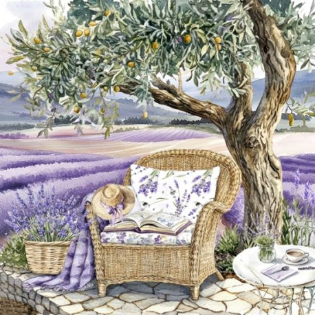 Léto v Provence 33x33