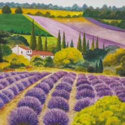 Levandulová farma 33x33