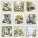 Sada papírů 15x15 170g Summer Meadow (REPRINT)
