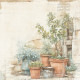 Sada papírů 15x15 170g The Pottery (REPRINT)