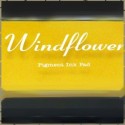 Windflower