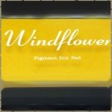 Windflower