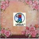 URSUS